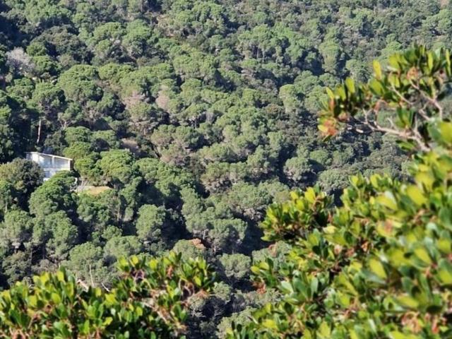 Terreno en venta en Maresme, Catalunya