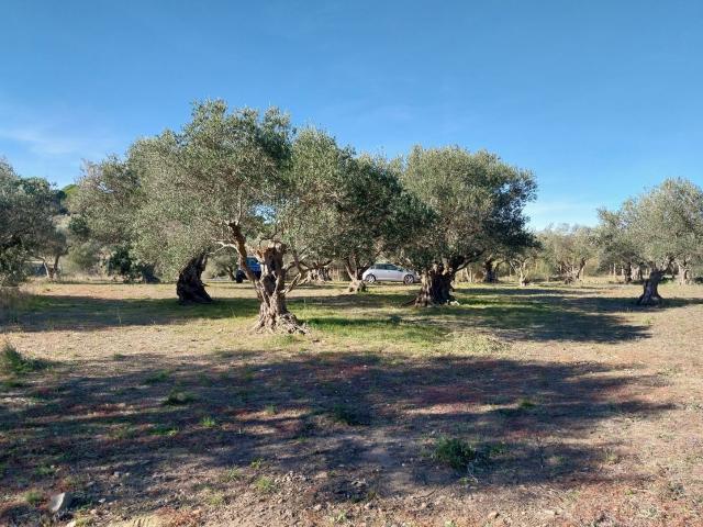 Terreno en venta en Ullastre, Alt Empordà
