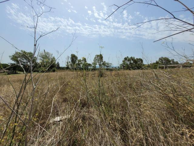 Terreno en venta en Baix Llobregat, Catalunya