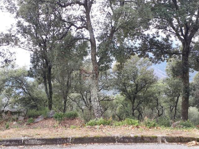 Terreno en venta en la Selva, Catalunya
