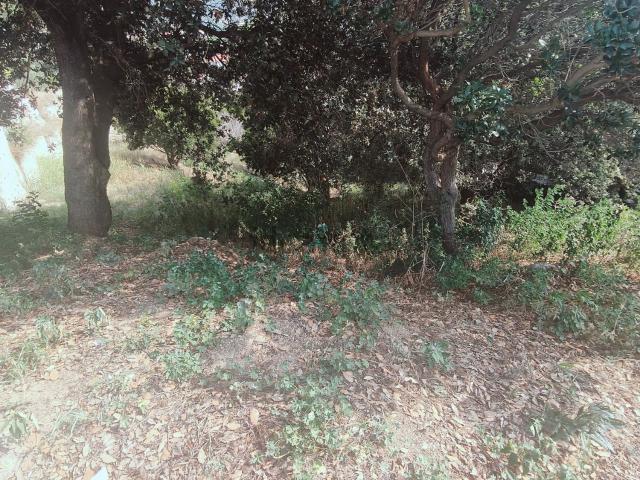 Terreno en venta en Vallès Oriental, Catalunya
