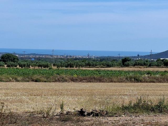 Terreno en venta en Baix Penedès, Catalunya