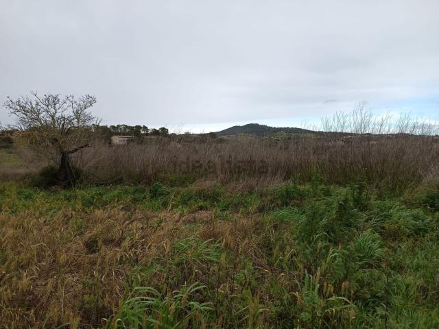 Terreno en venta en Pla de Mallorca, Baleares