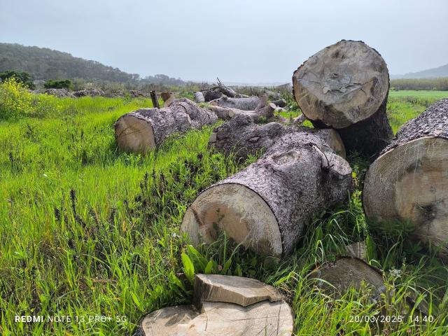 Terreno en venta en Pla de Mallorca, Baleares