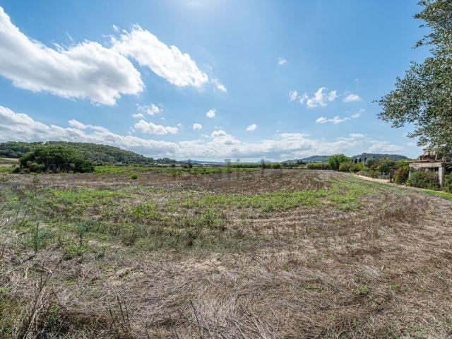 Terreno en venta en Pla de Mallorca, Baleares