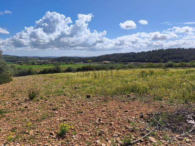 Terreno en venta en Pla de Mallorca, Baleares