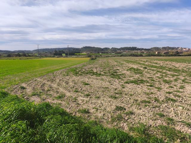 Terreno en venta en Pla de Mallorca, Baleares