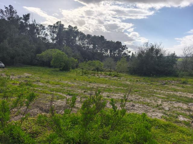 Terreno en venta en Pla de Mallorca, Baleares