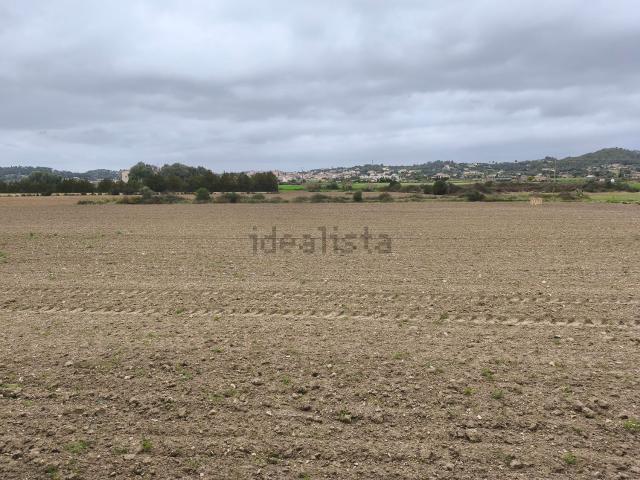 Terreno en venta en Pla de Mallorca, Baleares