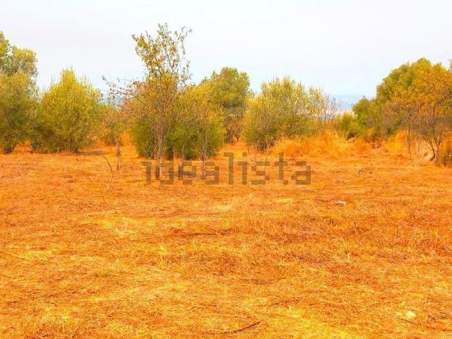 Terreno en venta en la Plana Alta, Valencia