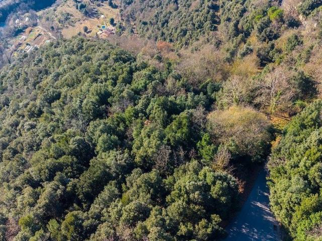 Terreno en venta en la Canya, Garrotxa