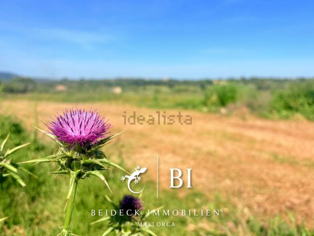 Terreno en venta en Manacor, Llevant