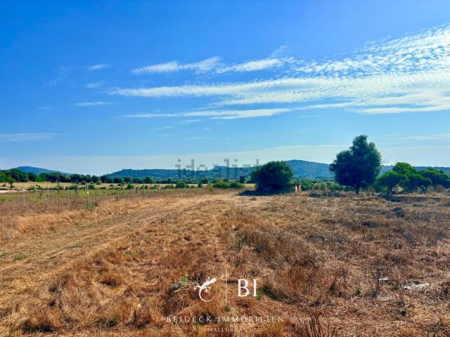 Terreno en venta en Son Carrió, Llevant