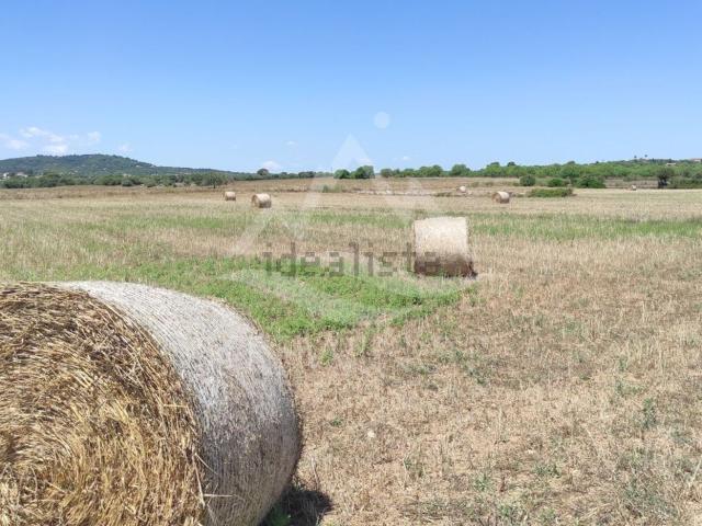 Terreno en venta en Manacor, Llevant