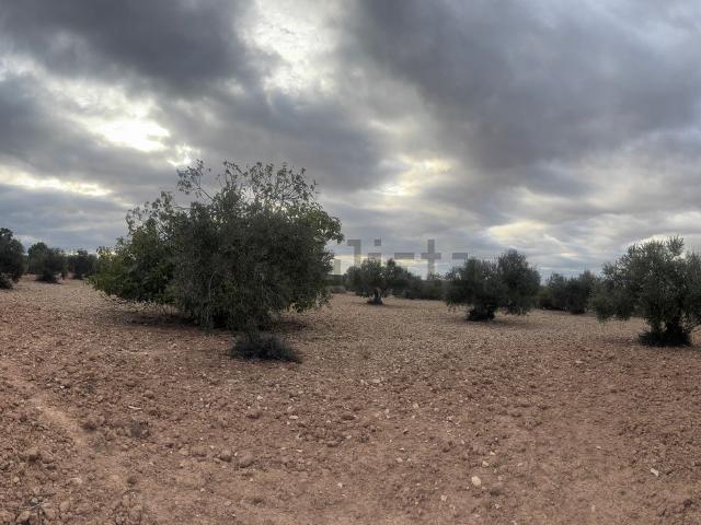 Terreno en venta en Urgell, Catalunya