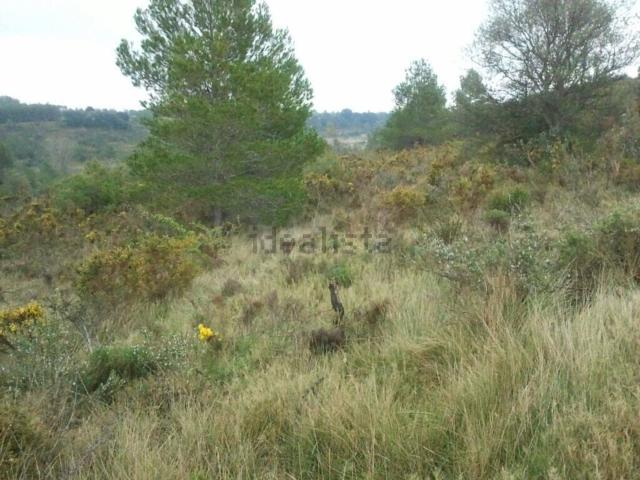 Terreno en venta en el Baix Maestrat, Valencia