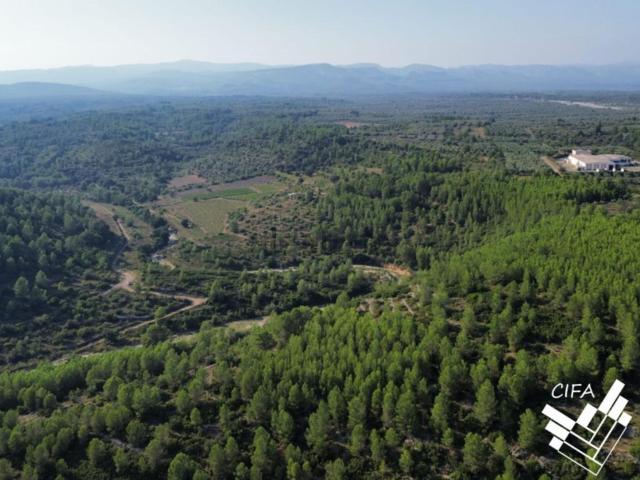 Terreno en venta en el Baix Maestrat, Valencia