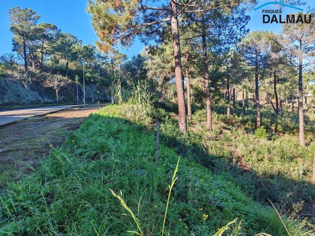 Terreno en venta en Jardins de Sant Pol, Maresme