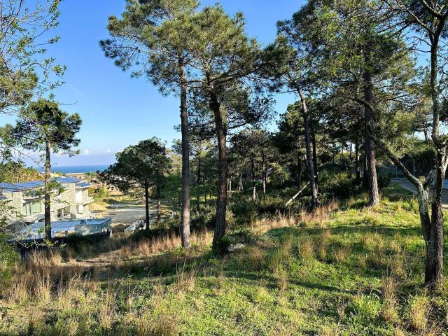 Terreno en venta en Jardins de Sant Pol, Maresme