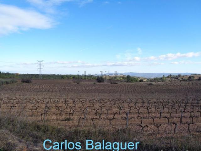 Terreno en venta en Alt Penedès, Catalunya