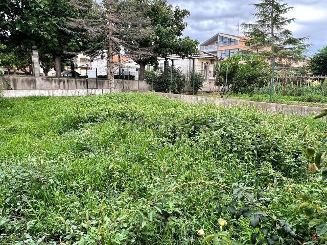 Terreno en venta en Alt Penedès, Catalunya