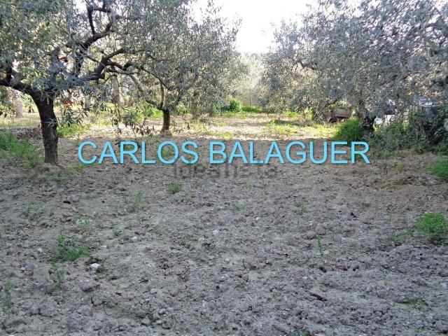 Terreno en venta en Alt Penedès, Catalunya