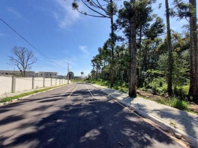 Terreno venda em Região Geográfica Imediata de Curitiba, Região Metropolitana de Curitiba