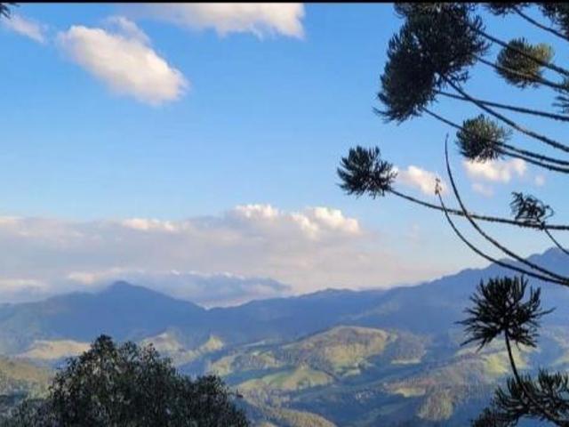 Terreno venda em Região Geográfica Imediata de Juiz de Fora, Bocaina de Minas