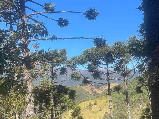Terreno venda em Região Geográfica Imediata de Juiz de Fora, Bocaina de Minas