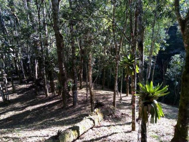 Terreno venda em Região Geográfica Imediata de Juiz de Fora, Bocaina de Minas