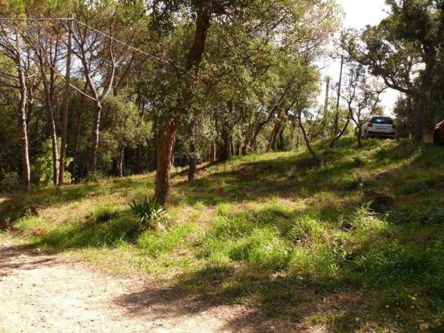 Terreno en venta en Solius, Baix Empordà