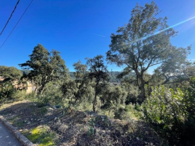 Terreno en venta en Sant Miquel d'Aro, Baix Empordà