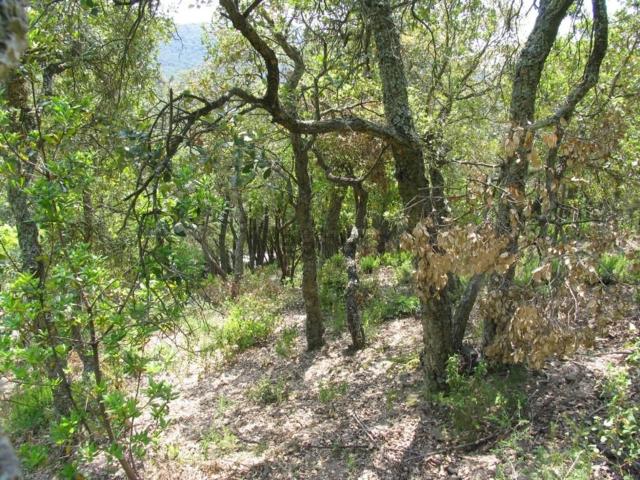 Terreno en venta en Sant Miquel d'Aro, Baix Empordà