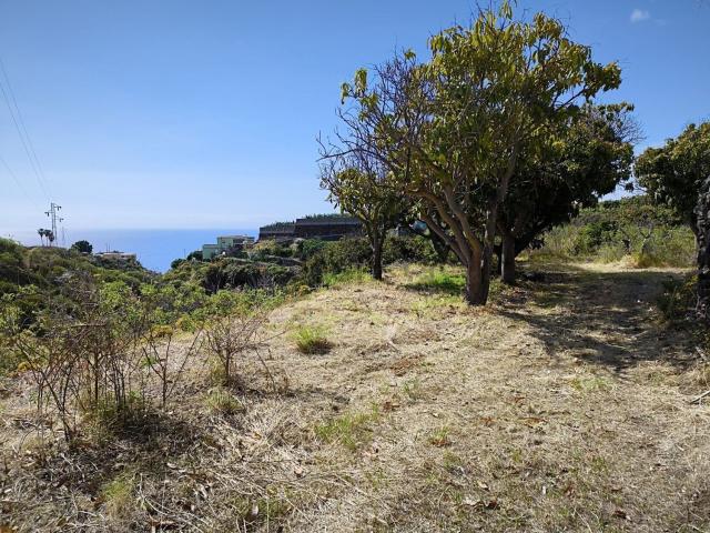 Terreno en venta en La Palma, Canarias