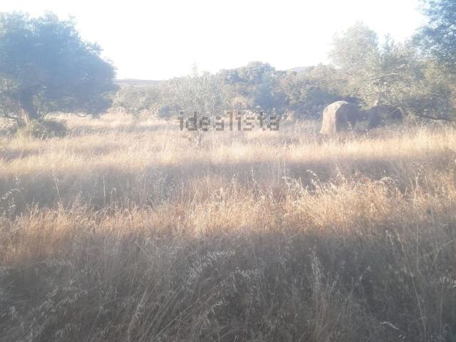 Terreno en venta en Santa Cruz De La Sierra, Extremadura