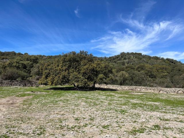 Terreno en venta en Santa Cruz De La Sierra, Extremadura