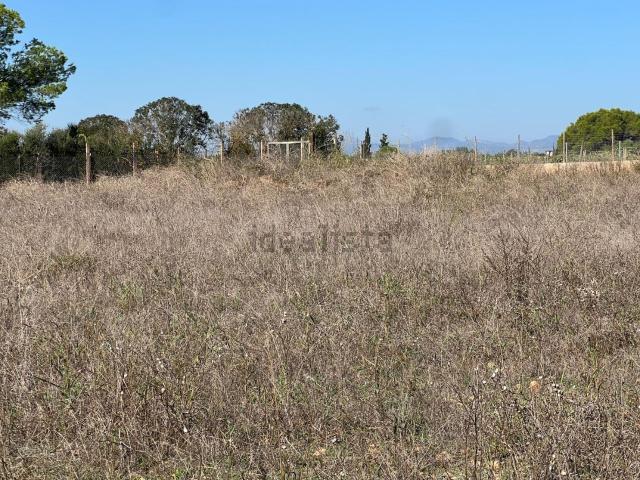 Terreno en venta en Pla de Mallorca, Baleares