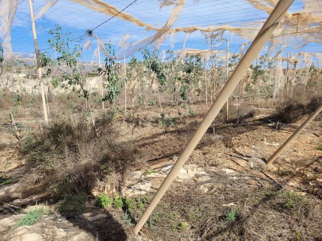 Terreno en venta en Orilla Baja, Santa Lucía de Tirajana