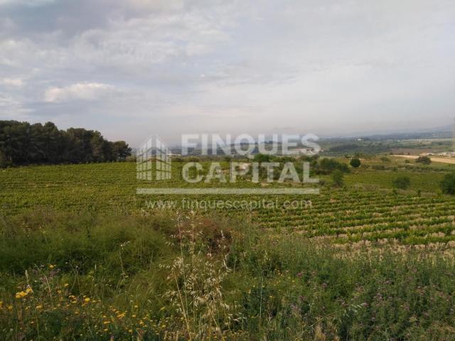 Terreno en venta en la Ràpita, Alt Penedès