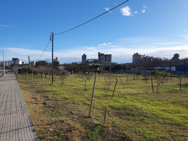 Terreno en venta en la Ràpita, Alt Penedès