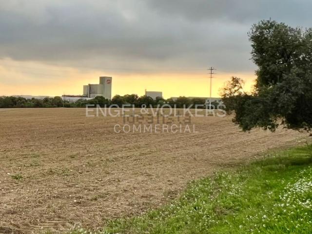 Terreno en venta en Alt Penedès, Catalunya