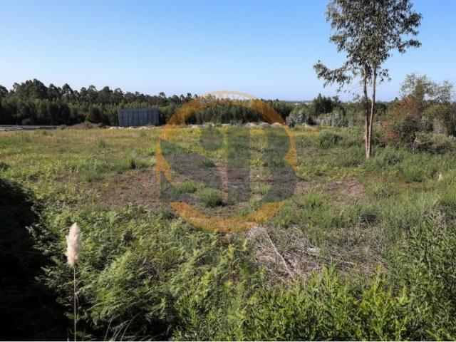 Terreno venda em Santa Maria Da Feira, Aveiro