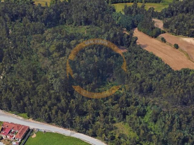 Terreno venda em Santa Maria Da Feira, Aveiro