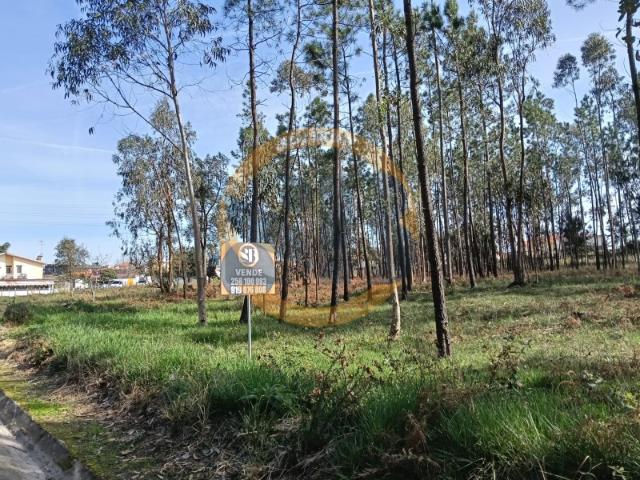 Terreno venda em Santa Maria da Feira, Travanca, Sanfins e Espargo, Santa Maria da Feira