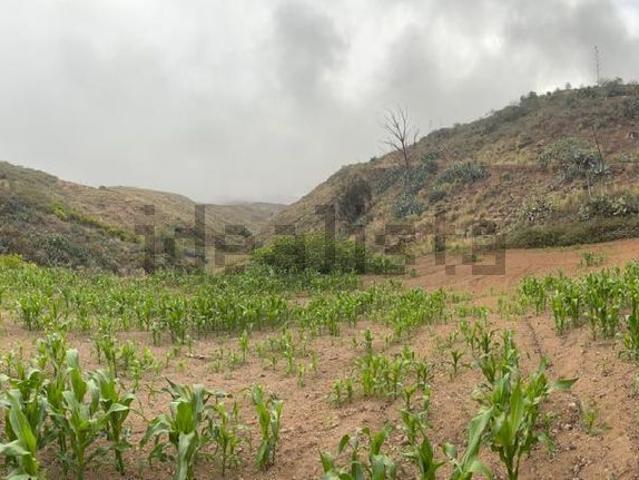 Terreno en venta en Santa María de Guía de Gran Canaria, Canarias