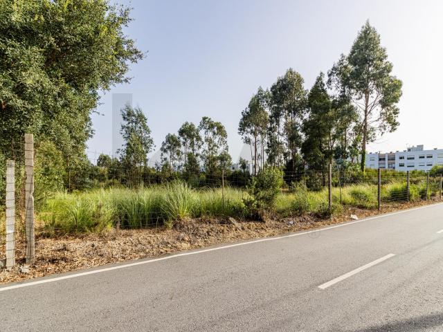 Terreno venda em Santa Maria Da Feira, Aveiro