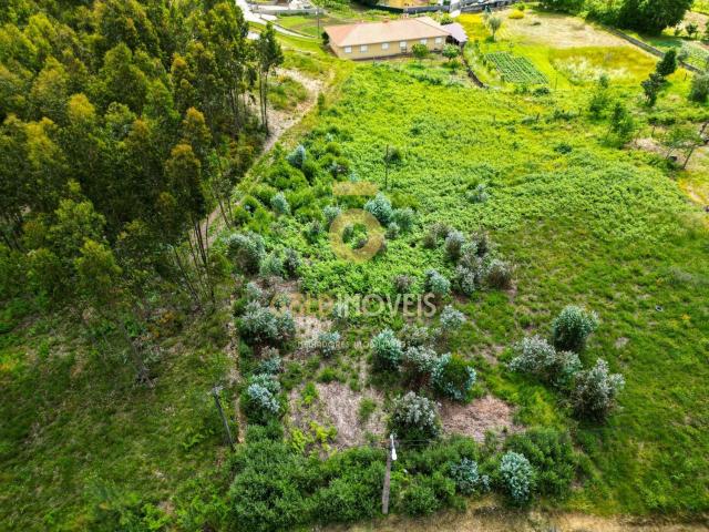 Terreno venda em Castelo De Paiva, Penas Terreno venda em Castelo De Paiva, Penas