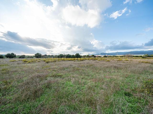 Terreno en venta en Raiguer, Baleares