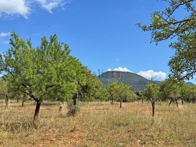 Terreno en venta en Raiguer, Baleares