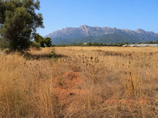 Terreno en venta en Raiguer, Baleares